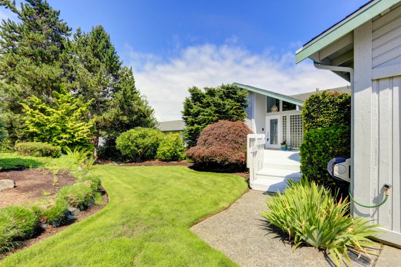 Home Improvement Companies